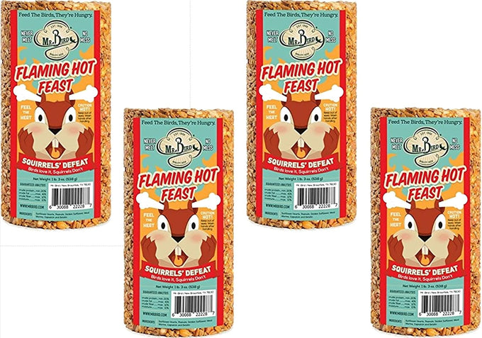 Mr. Bird Flaming Hot Feast 4-inch Small Cylinder Bird Feeder (Pack of 4)