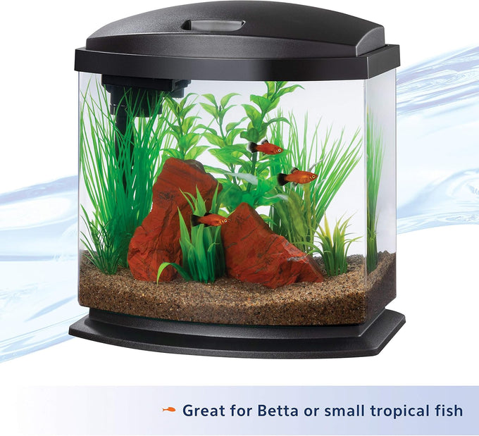 Aqueon LED MiniBow 2.5 Gallon Aquarium Fish Tank Kit with SmartClean Technology in Black for Small Fish