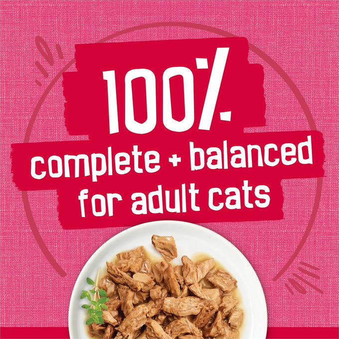 Purina friskies prime filets with salmon and beef in sauce high protein wet cat food (pack of 24) 5.5 oz cans