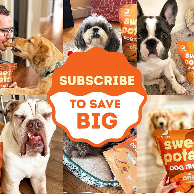 Davie's 100% Natural Sweet Potato Dog Chews, Low Fat, Low Allergenic, 1 lb. Bag