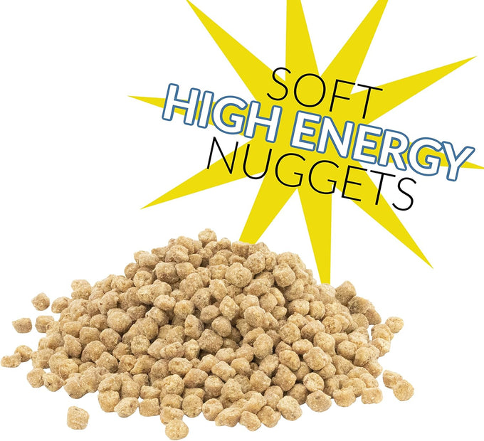 C&NoMeltandNoWasteBluebirdNuggets27Ounce6Packwildbirdfood