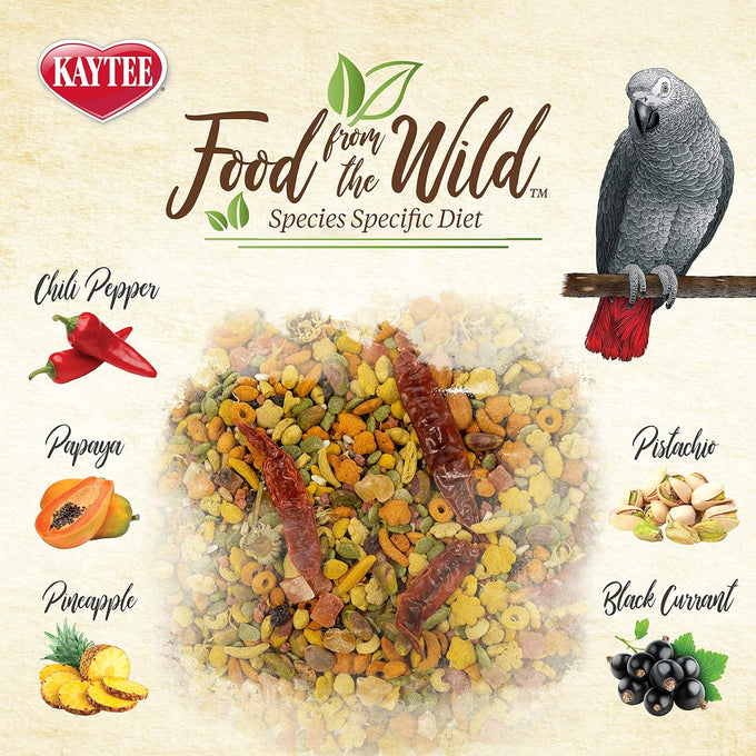 Kaytee Premium Foraging Mix Natural Pet Parrot Food 2.5 Pound