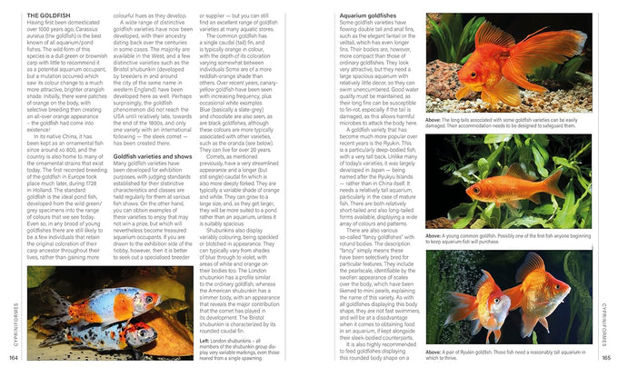 a-practical-guide-to-identifying-and-keeping-freshwater-and-marine-fishes-aquariums-hardcover-book