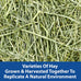 Kaytee All Natural Timothy Hay Wild Meadow Hay Blend for Small Animals, 24 Ounce, America's #1 Hay Brand