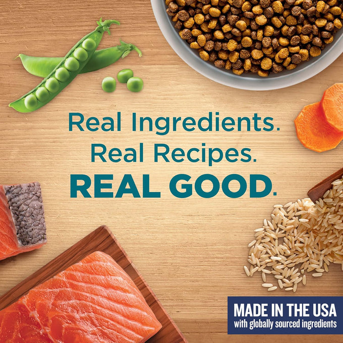 rachael ray nutrish real salmon dry cat food 14 lb bag brown rice recipe