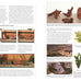 a-practical-guide-to-identifying-and-keeping-freshwater-and-marine-fishes-aquariums-hardcover-book