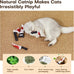 potaroma 4pcs cat toys knife-shaped kitte catnip crinkly sound indoor exercise for all cat breeds