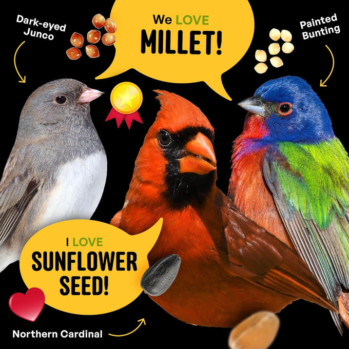 Cool Birds 10 lb Classic Blend Bird Seed with Black Oil Sunflower, White Millet, Safflower, Peanuts & Sunflower Hearts