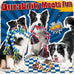 Forfon Tough & Strong rope toys for large aggressive chewers with 3 rope toys & 2 dog bags