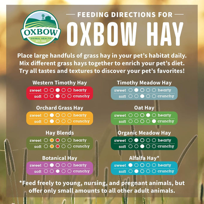 Oxbow organic meadow hay, usda certified, 100% natural, 40oz bag for small pet rabbits and guinea pigs