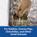 kaytee hay feeder for rabbits guinea pigs chinchillas with quick locks