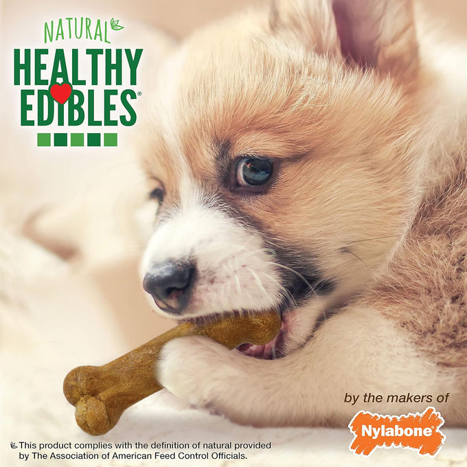 Nylabone Healthy Edibles Roast Beef, Apple & Bacon Flavor Puppy Chews X-Small 3 Count