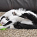 ourpets 100-percent north american catnip filled carrot cat toy 24k gold