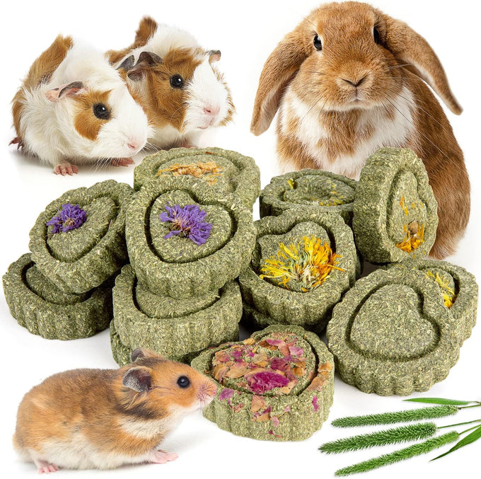 Sofier handmade 12pcs timothy hay treats natural chews for rabbit guinea pig hamster chinchilla rat gerbil