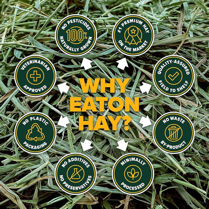 Eaton premium 1st cut western timothy hay orchard blend small animal food 6lb box sustainable eco-friendly