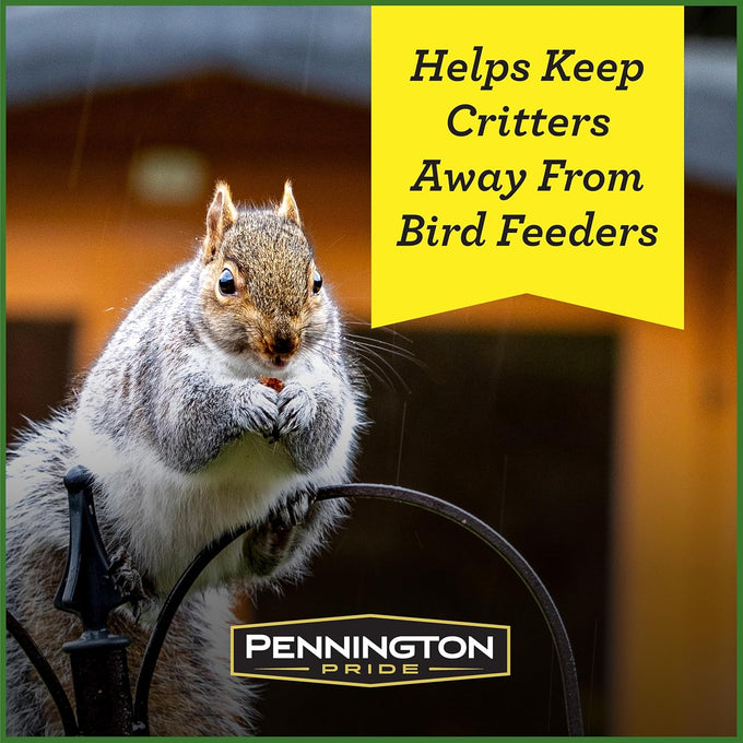 Pennington Pride Squirrel & Critter food attracts backyard wildlife with sunflower seeds and peanuts, 10-lb bag