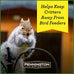 Pennington Pride Squirrel & Critter food attracts backyard wildlife with sunflower seeds and peanuts, 10-lb bag