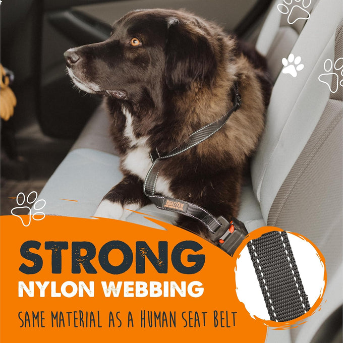 Mighty Paw Safe Dog Seat Belt for Cars - Aviation Grade Aluminum Carabiner, Adjustable, Heavy-Duty Design