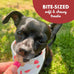 Buddy Biscuits Softies Grain-Free Beef Soft & Chewy Dog Treats, Bite-Sized for All Life Stages, Oven-Baked in USA, 5 oz. Pouch