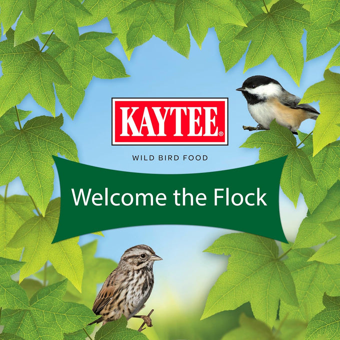 10lb Kaytee Wild Bird Basic Seed, Economical Sunflower and Millet Mix for Backyard Birds, Made in the USA