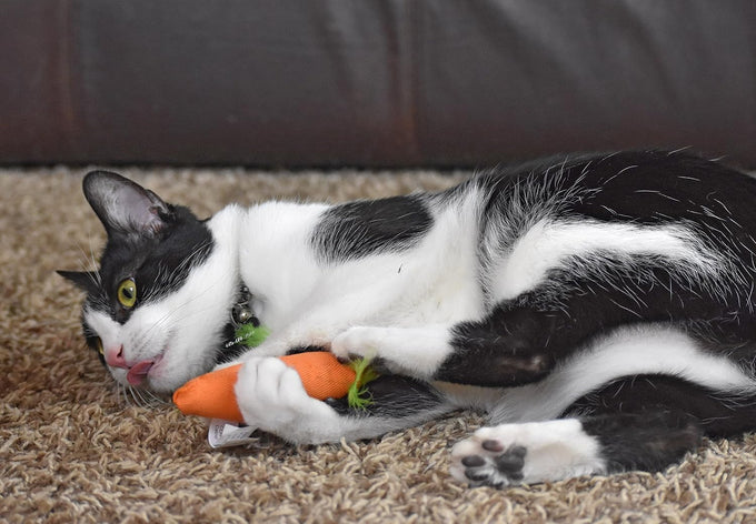 ourpets 100-percent north american catnip filled carrot cat toy 24k gold
