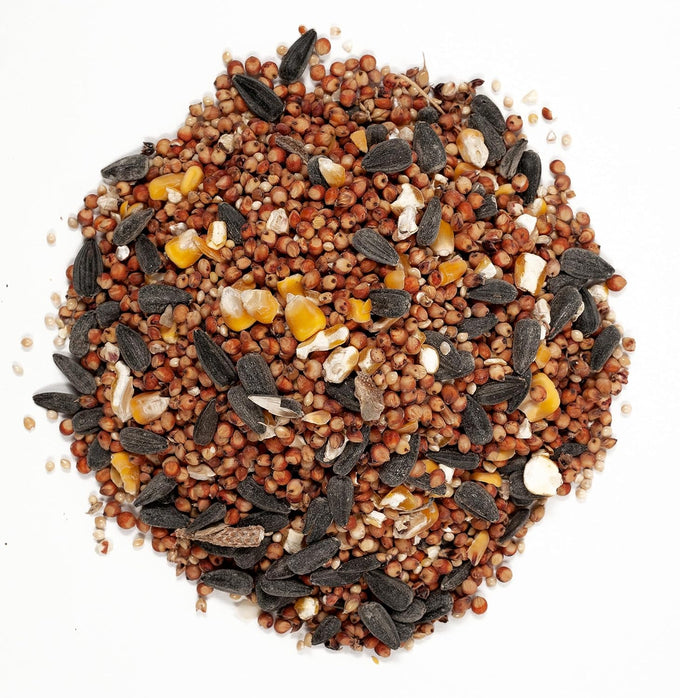 Wagner's 53002 10-Pound Wild Bird Food with Cherry Flavor for Backyard Birds in USA