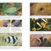 a-practical-guide-to-identifying-and-keeping-freshwater-and-marine-fishes-aquariums-hardcover-book