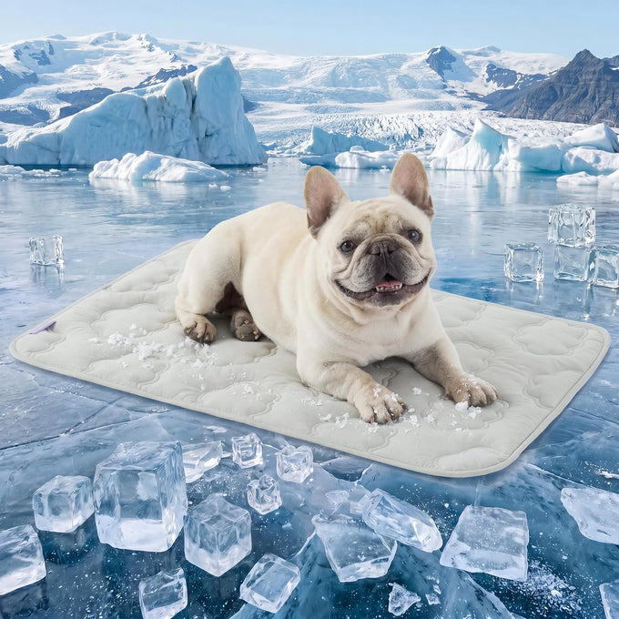 LE SURE extra large dog cooling mat for XL dogs, 44x30, breathable, thin, portable, washable, blue