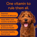 Finn all-in-1 multivitamin for dogs daily multi with probiotics, omegas and nutrients for everyday wellness in 90 soft chews
