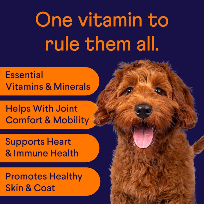 Finn all-in-1 multivitamin for dogs daily multi with probiotics, omegas and nutrients for everyday wellness in 90 soft chews