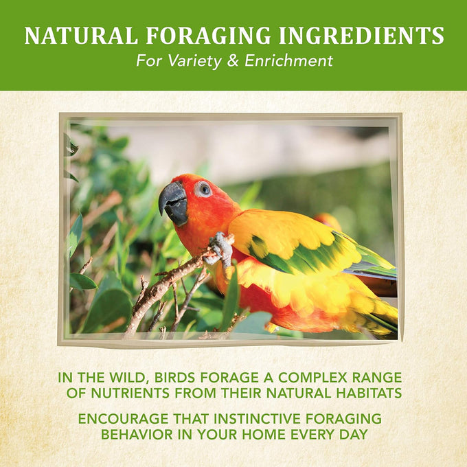 Kaytee Food from The Wild Natural Pet Conure Bird Food, 2.5 Pound Premium Foraging Mix Without Fillers