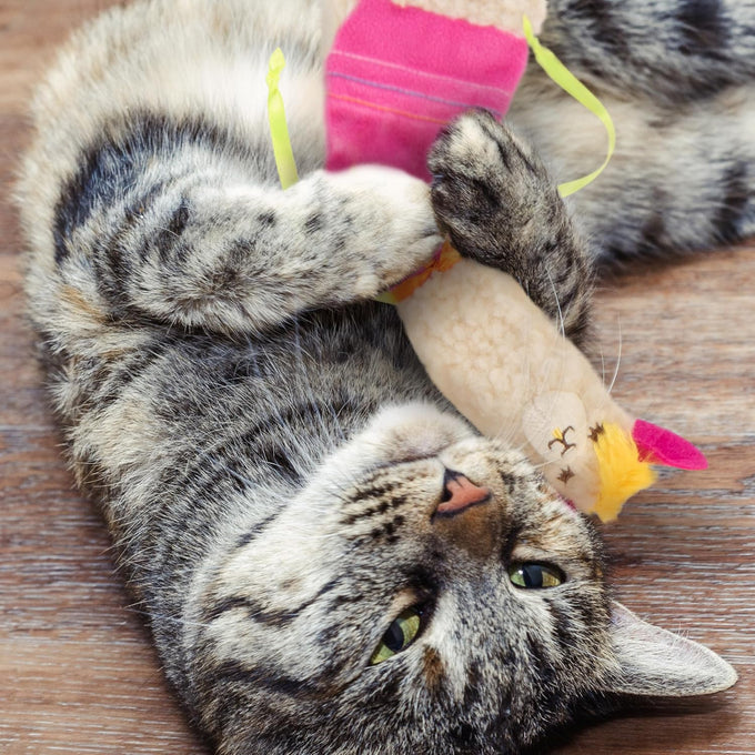 SmartyKat Leggy Llama Catnip Crinkly Plush Kicker Cat Toy for Cats, Kittens, and Wrestling Play