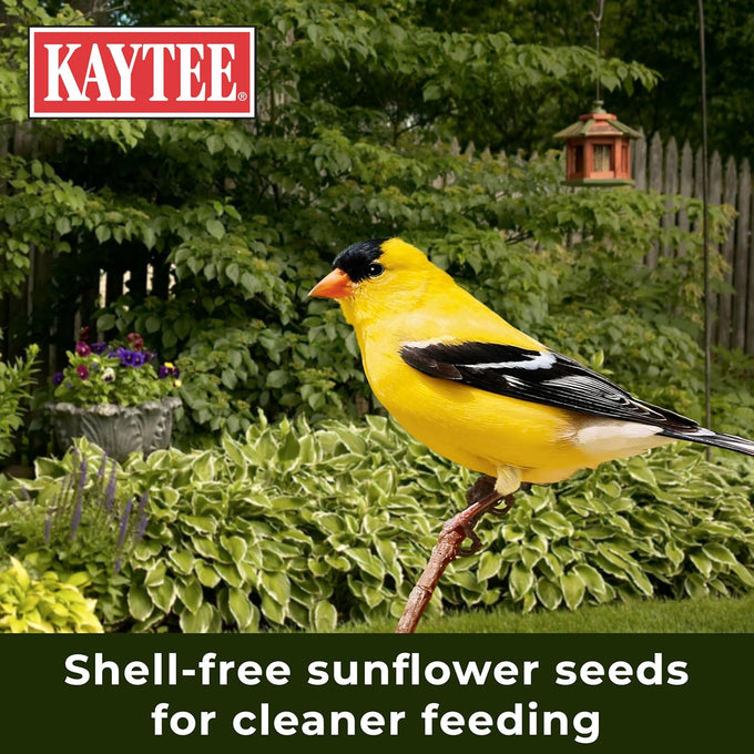 Kaytee no mess finch seed and nyjer blend, 8 pounds, attracts goldfinches and chickadees