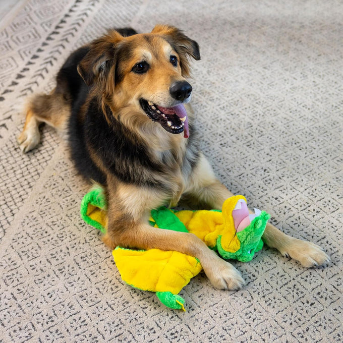 outward hound xxl squeaker matz plush gator dog toy for mild to medium chewers