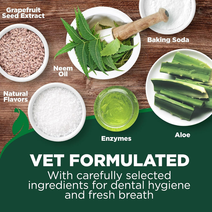Vet's Best dog toothpaste and toothbrush kit with triple head toothbrush, natural flavors, and aloe for healthy gums and fresh breath