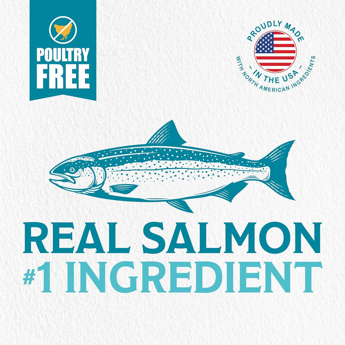 Evolve Simply Limited Ingredient Salmon Dry Dog Food Recipe, 4lb.