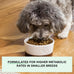 open-farm-grain-free-dry-dog-food-for-small-breeds-high-protein-kibble-chicken-turkey-recipe-11lb-bag