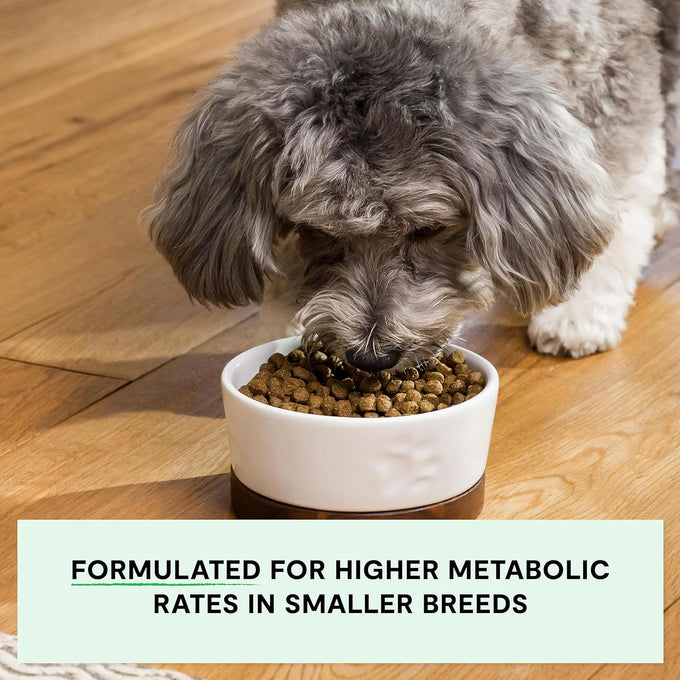 open-farm-grain-free-dry-dog-food-for-small-breeds-high-protein-kibble-chicken-turkey-recipe-11lb-bag