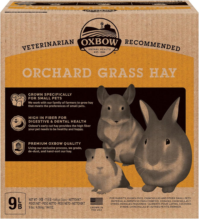 oxbow all natural orchard grass guinea pig hay, small pet rabbit supplies, premium quality, usa grown
