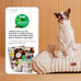 Bedsure 24inch ComfyFleece Cute Cat Couch for Indoor Cats, Cream, Removable Washable Cover and Supportive Pet Sofa