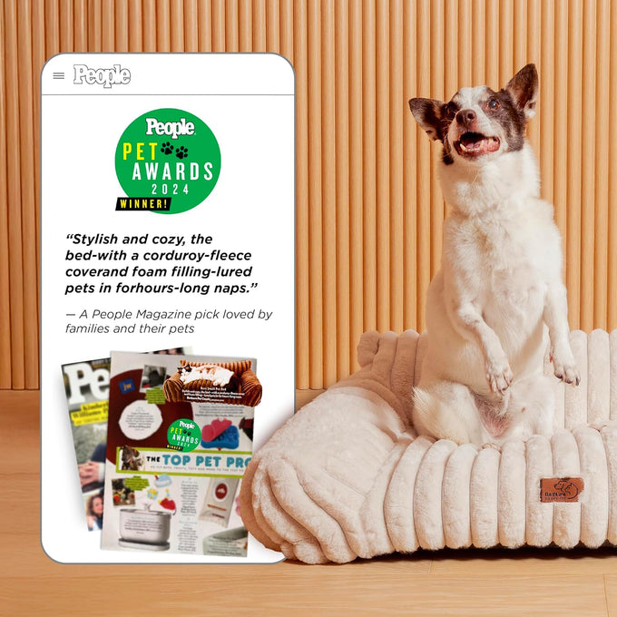 Bedsure 24inch ComfyFleece Cute Cat Couch for Indoor Cats, Cream, Removable Washable Cover and Supportive Pet Sofa