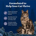 Blue Buffalo Wilderness Nature's Evolutionary Diet High-Protein Grain-Free Dry Cat Food for Adults Chicken Recipe 6-lb Bag