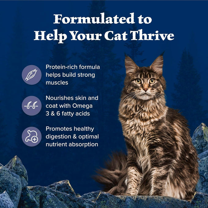 Blue Buffalo Wilderness Nature's Evolutionary Diet High-Protein Grain-Free Dry Cat Food for Adults Chicken Recipe 6-lb Bag