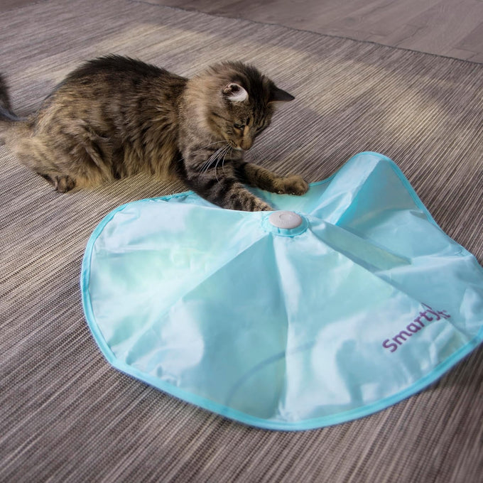 SmartyKat battery-powered electronic motion toys for cats and kittens, multiple styles available