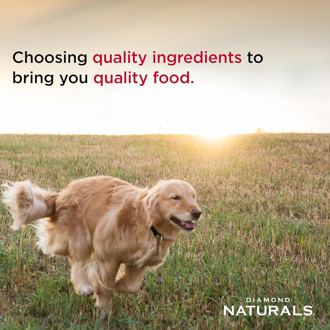 Diamond Naturals Small & Medium Breed Puppy Dry Dog Food