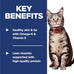 Hills science diet adult 1-6 premium nutrition dry cat food, chicken recipe, 7 lb bag