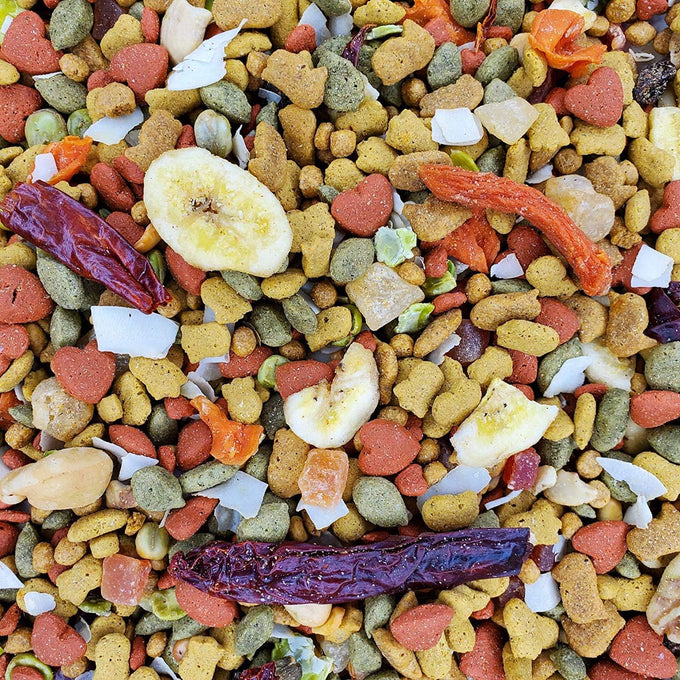 Higgins 2 pack of Intune Harmony Food for Parrots and Large Birds, 3 pounds each, USA made with healthy ingredients