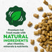 Feline Greenies cat dental treats, adult natural, 21 oz tub, veterinarian-recommended, catnip flavor