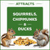 Pennington Pride Squirrel & Critter food attracts backyard wildlife with sunflower seeds and peanuts, 10-lb bag