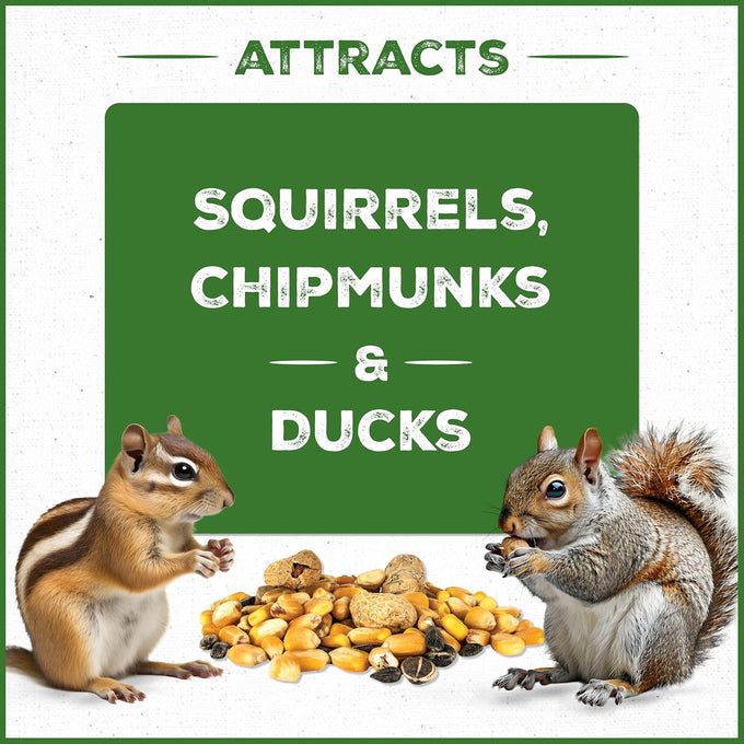 Pennington Pride Squirrel & Critter food attracts backyard wildlife with sunflower seeds and peanuts, 10-lb bag